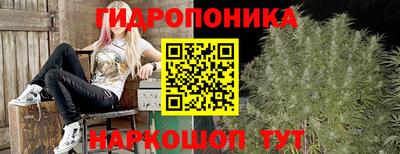 гашик Севастополь