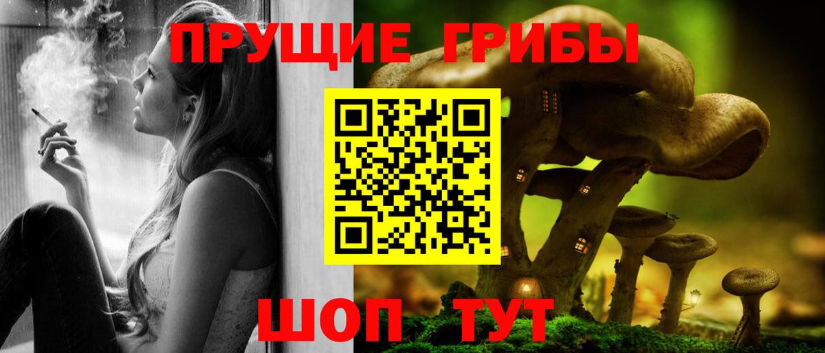 Галлюциногенные грибы GOLDEN TEACHER  Вход с VPN  Новороссийск 